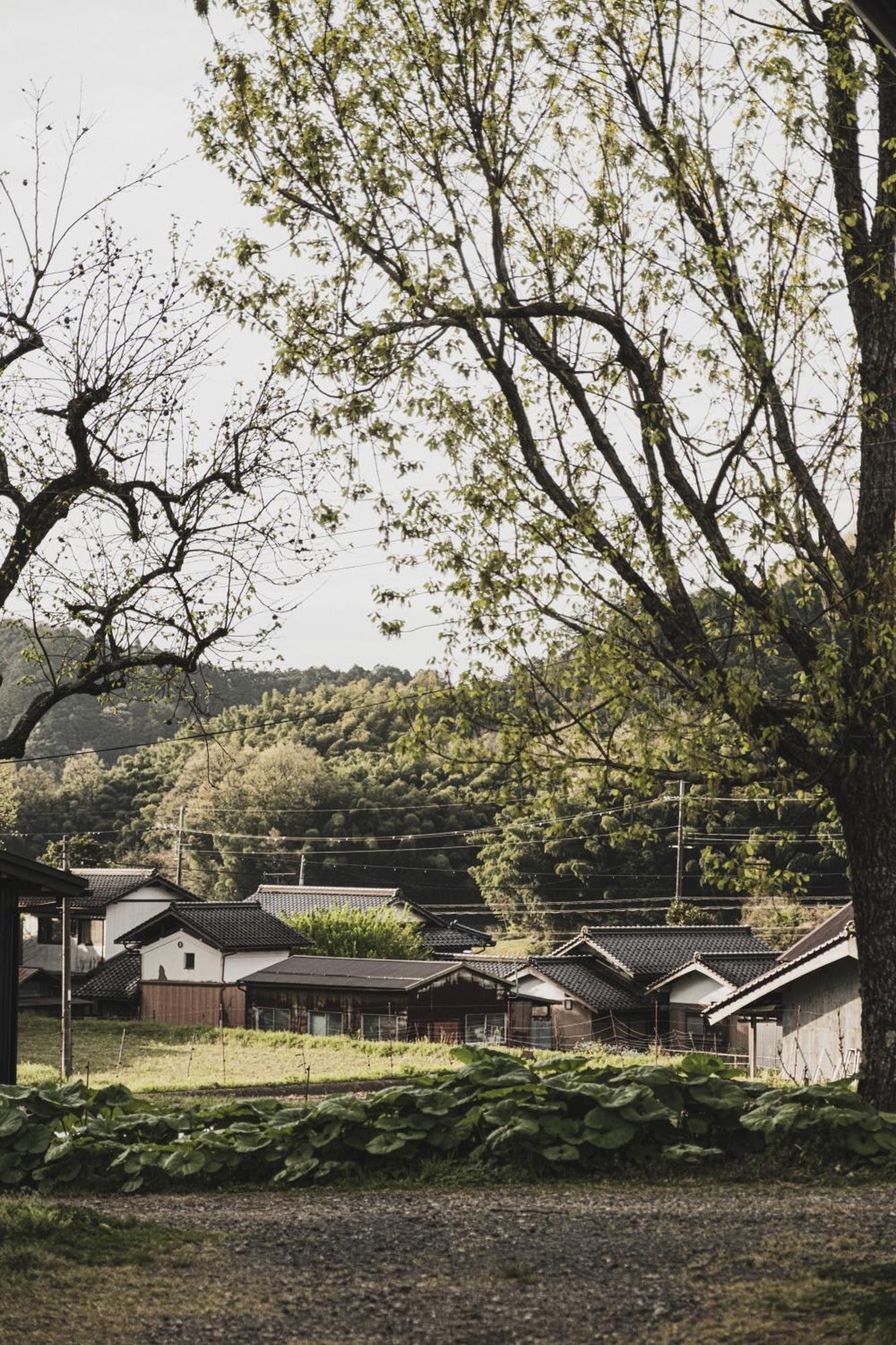 一汁一菜の宿　ちゃぶダイニング Ichiju Issai No Yado Chabu Dining Unforgettable Farmstay Experience In Deep Kyoto Ayabe Exteriér fotografie